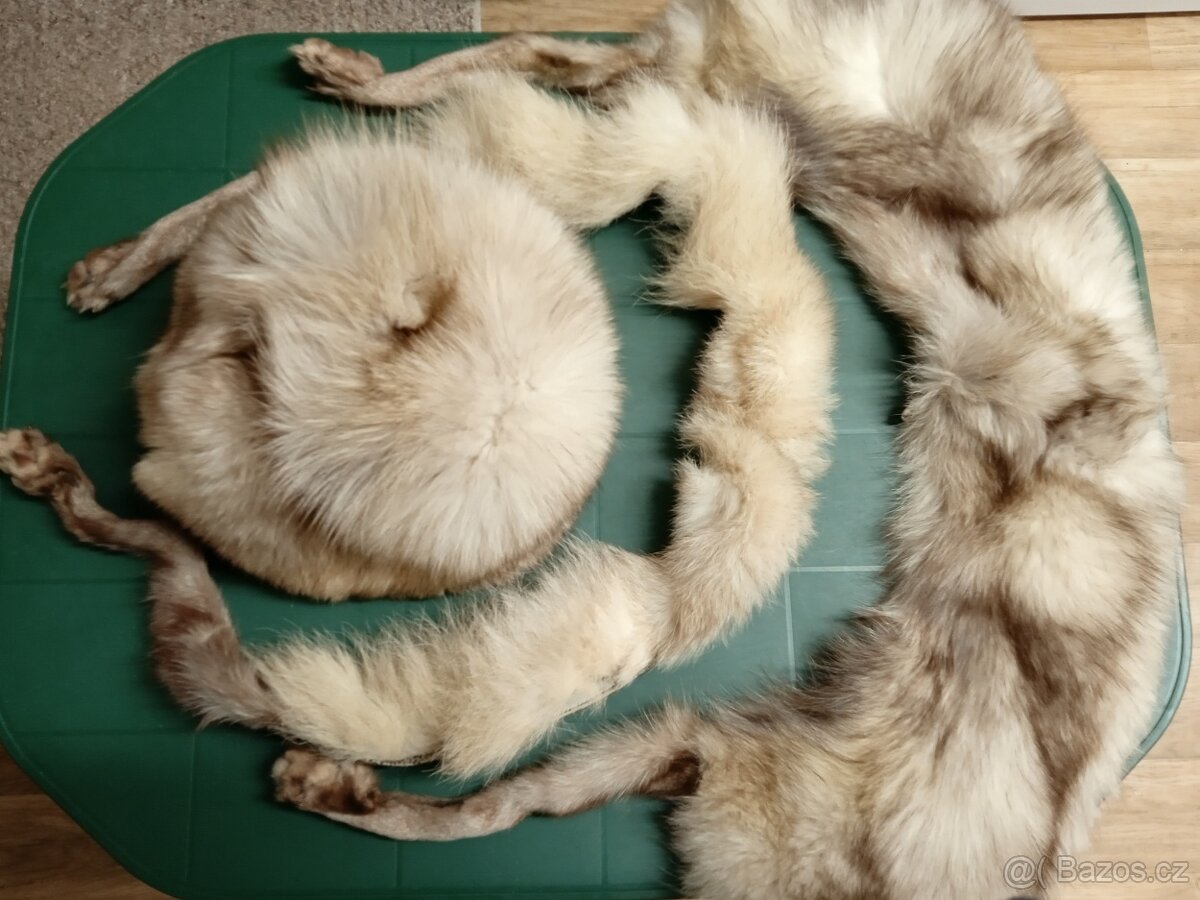 Čepice a 2x límec z lišky