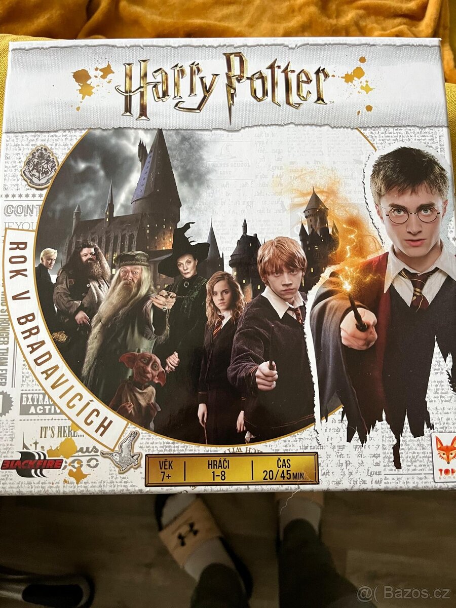 Desková hra Harry Potter: Rok v Bradavicích