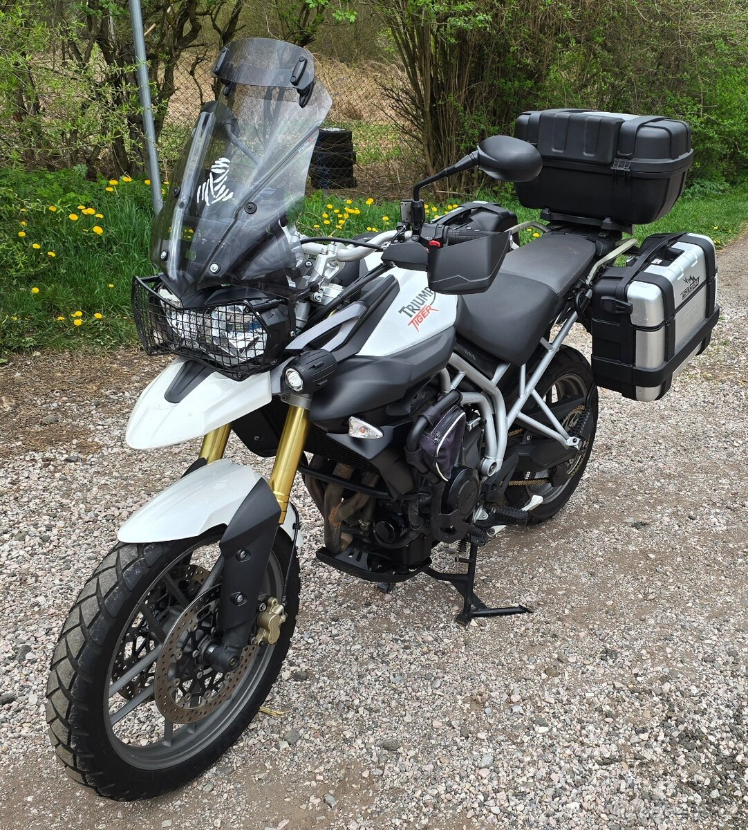 TRIUMPH TIGER 800