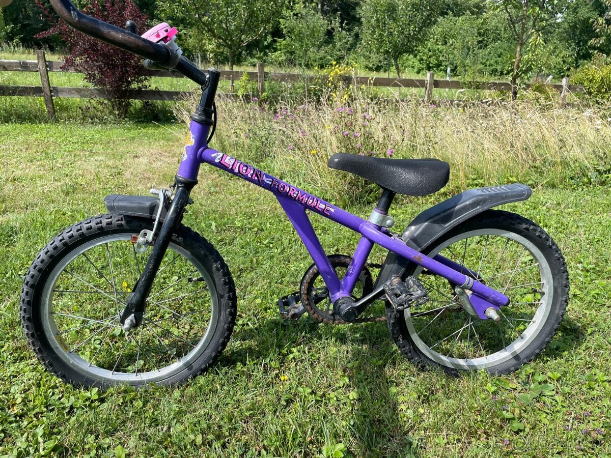 Daruji dětské kolo Lion Formule