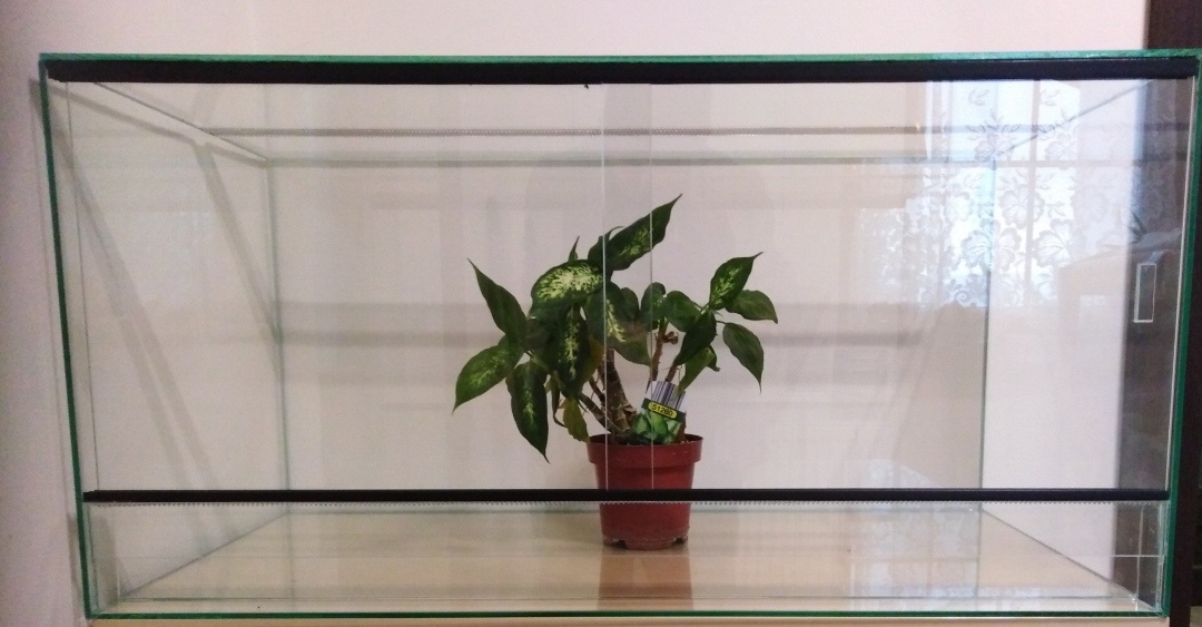 Terarium nové 80x40x40, síla skla 5 mm, vhodné pro agamy, že