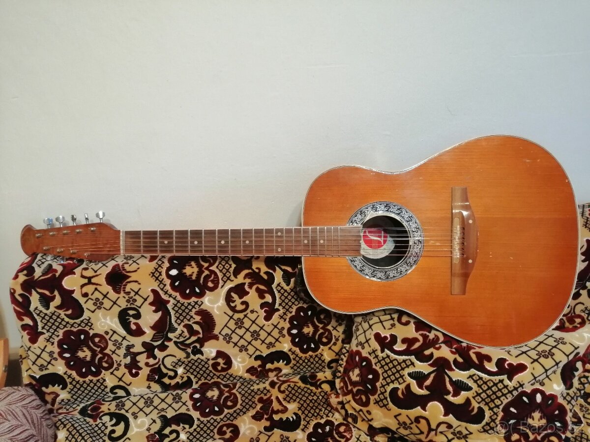 Devíti strunná kytara