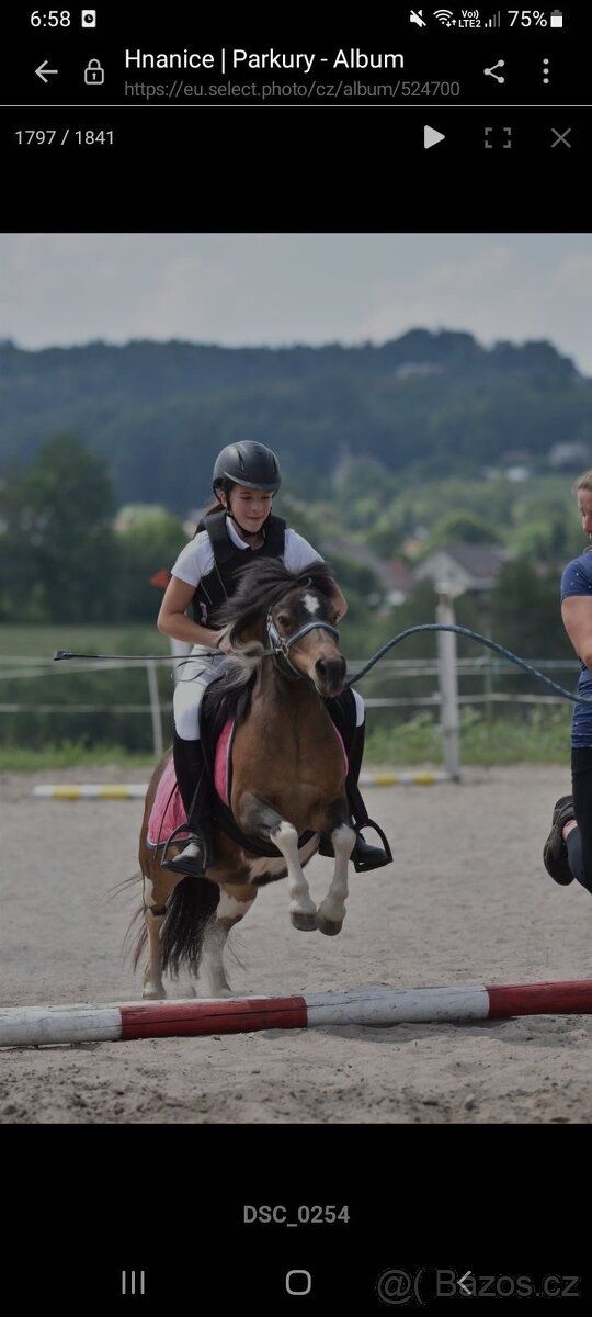 Pony kobylka