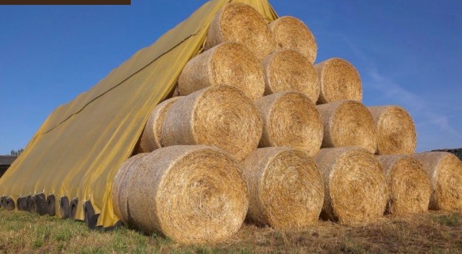 Sláma