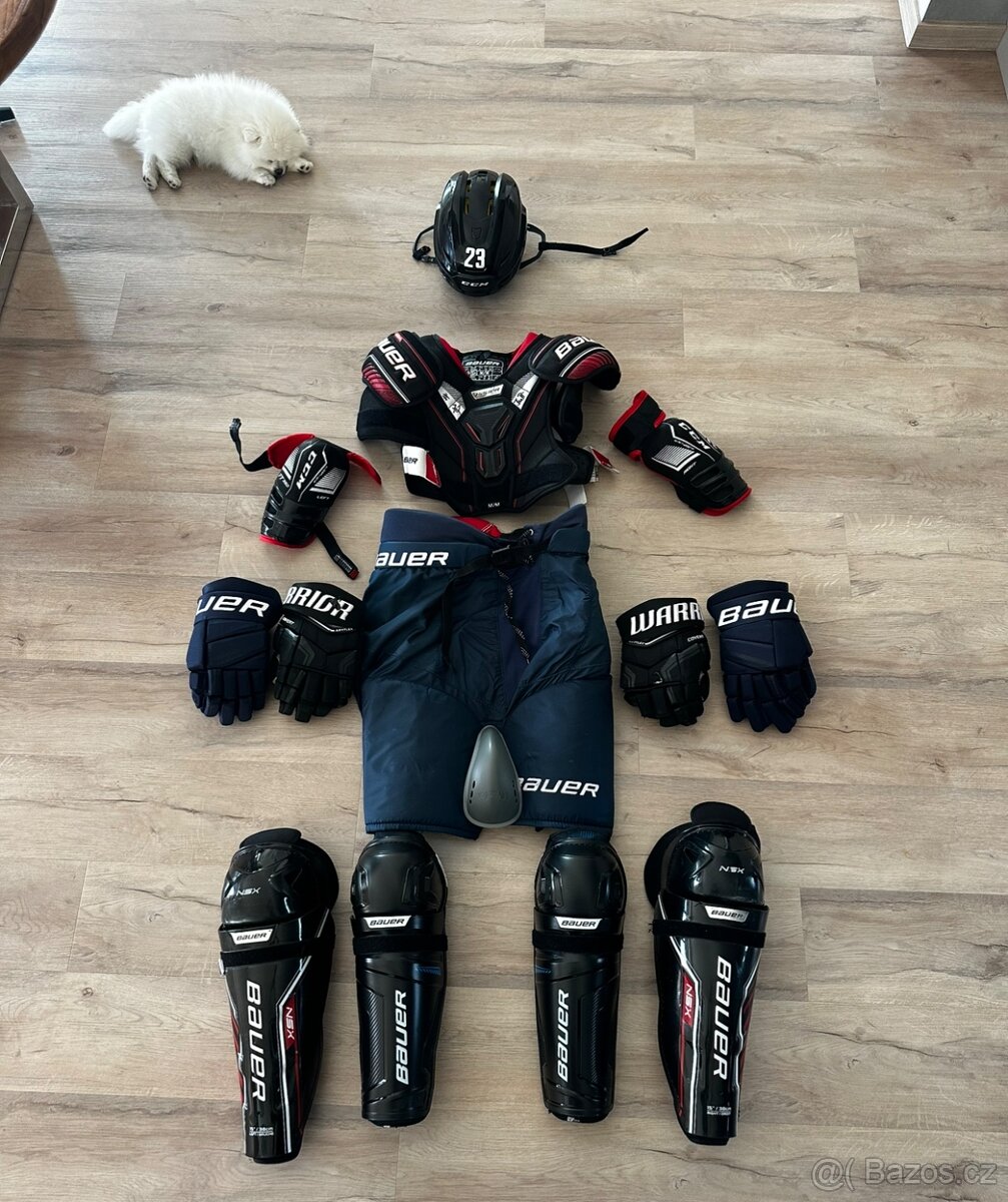 Hokejová výstroj