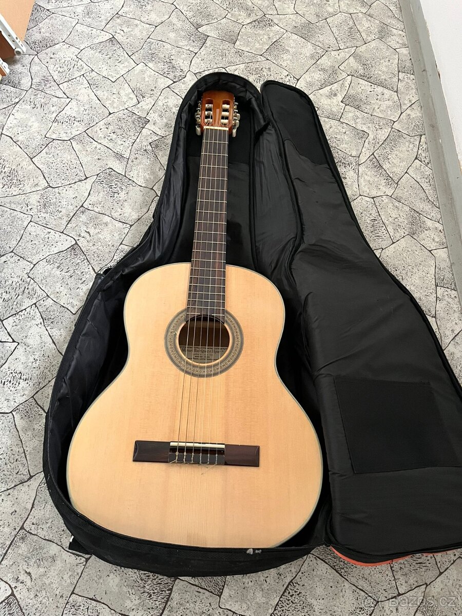 Šestistrunná kytara