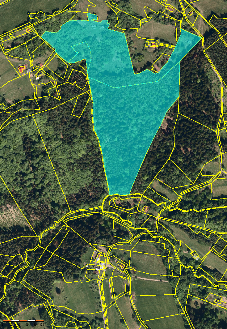 Lesní pozemek Valaššská Bystřice 1/2