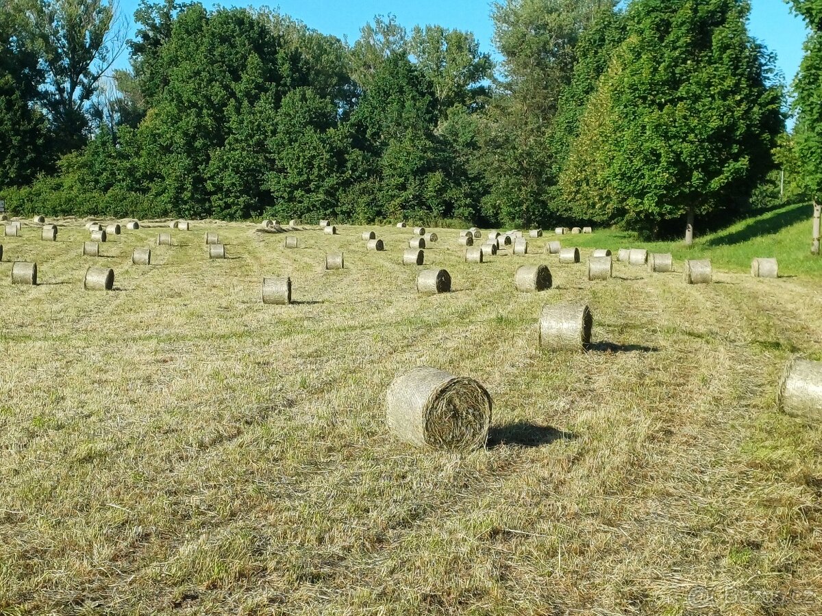 Seno, letošní, malé kulaté balíky, vázané v síti