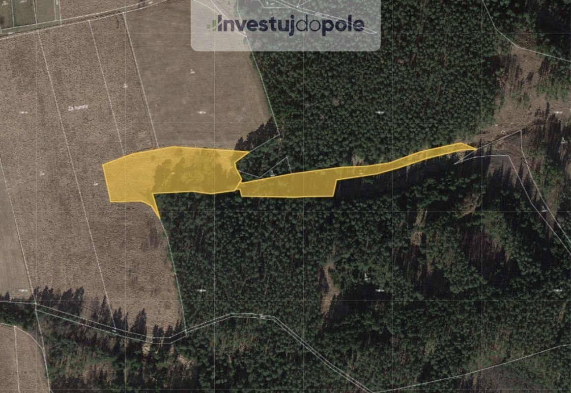 Prodej louky 17 895 m², Planá - Svahy, ev.č. 2025-06-09-65