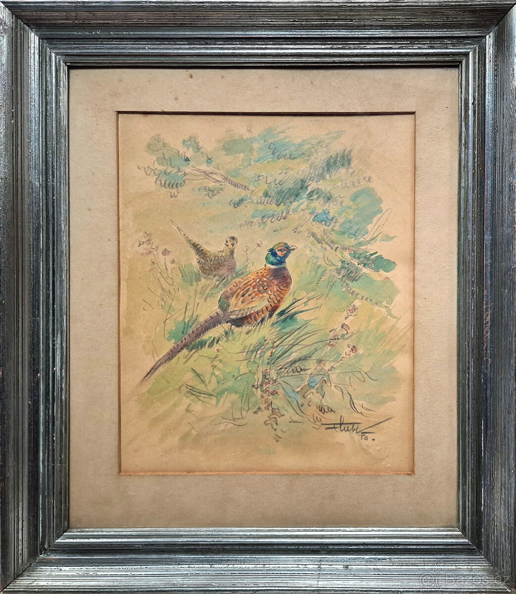 Obrazy Františka Liebla....TOP