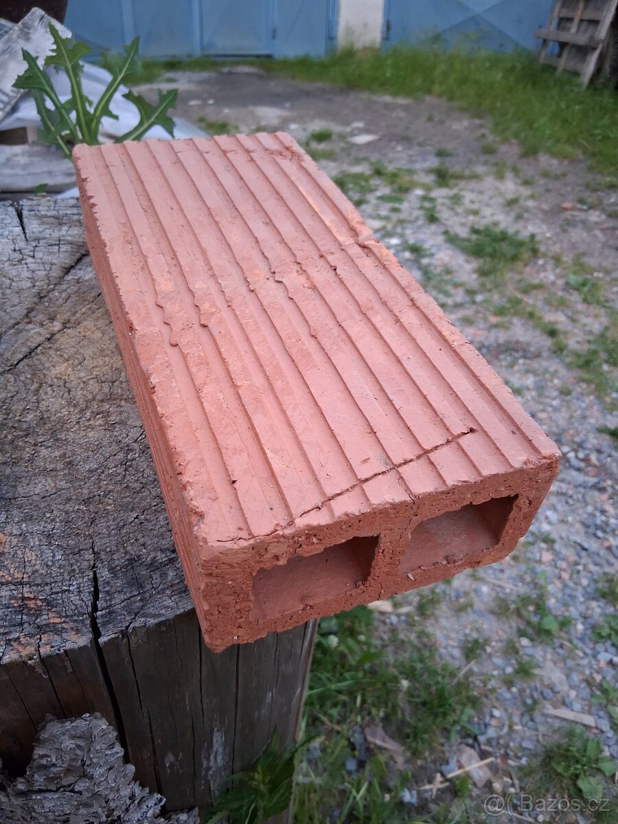 Příčkovky duťáky