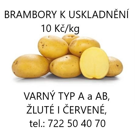 BRAMBORY K USKLADNĚNÍ - 10 Kč/kg