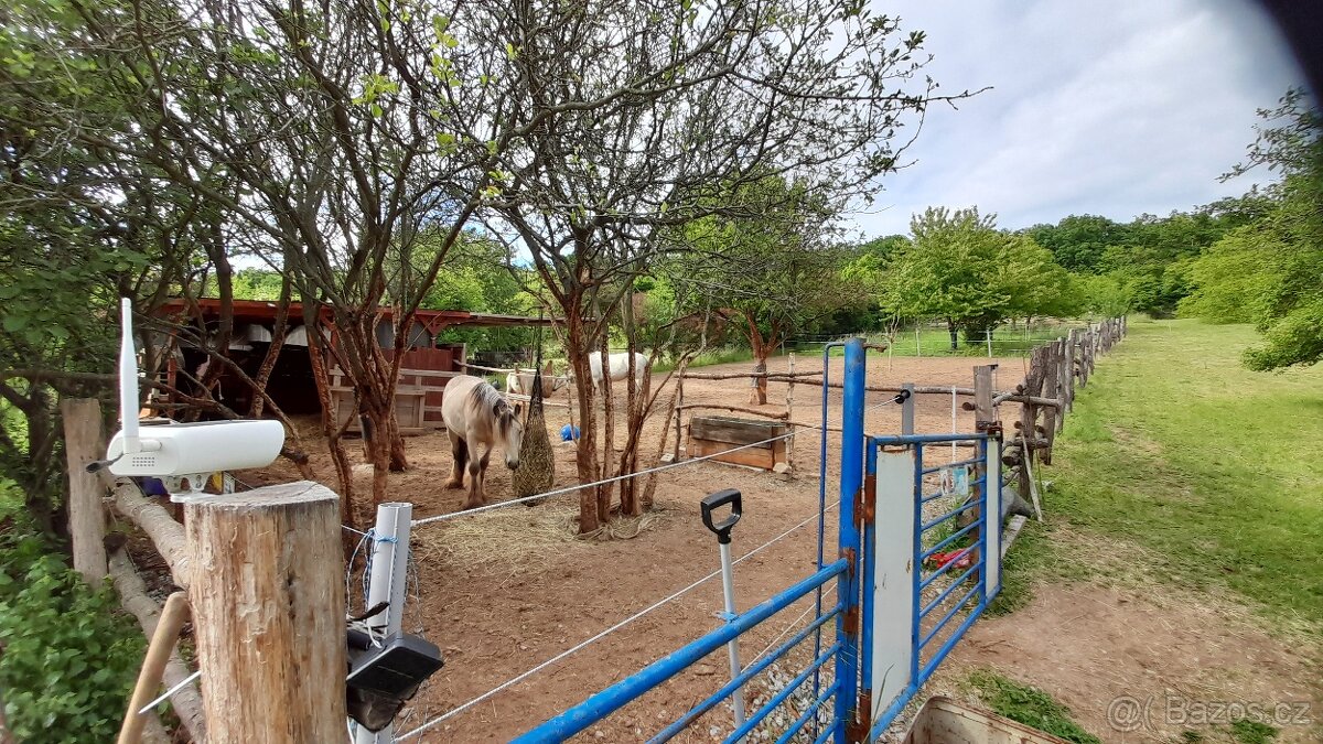 Nabídka ustájení 24/7