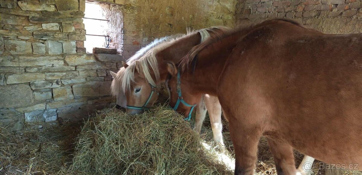 Hledáme nadějné mladé talenty