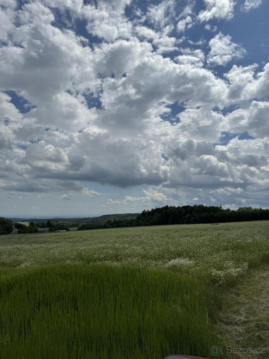 Prodej pozemku k.ú. Labutice (2)