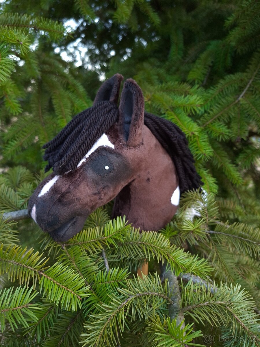 Hobby horse