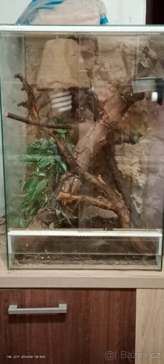 Terárium