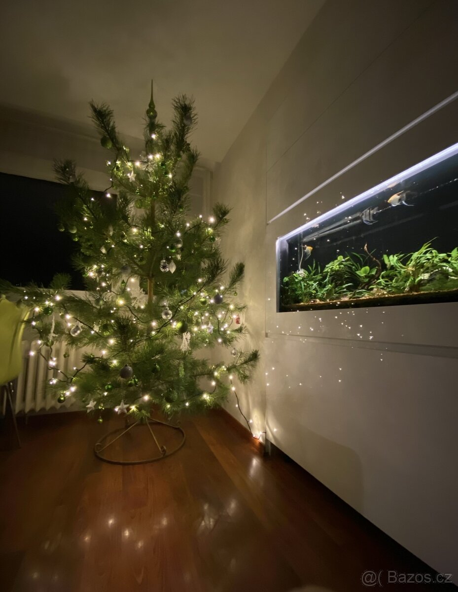 Terarium