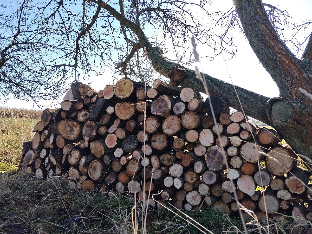 palivové štípané dřevo (tvrdé)