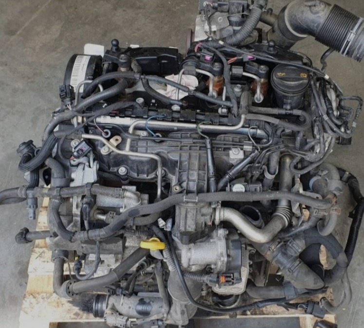 Motor 1.6Tdi Cay cayx