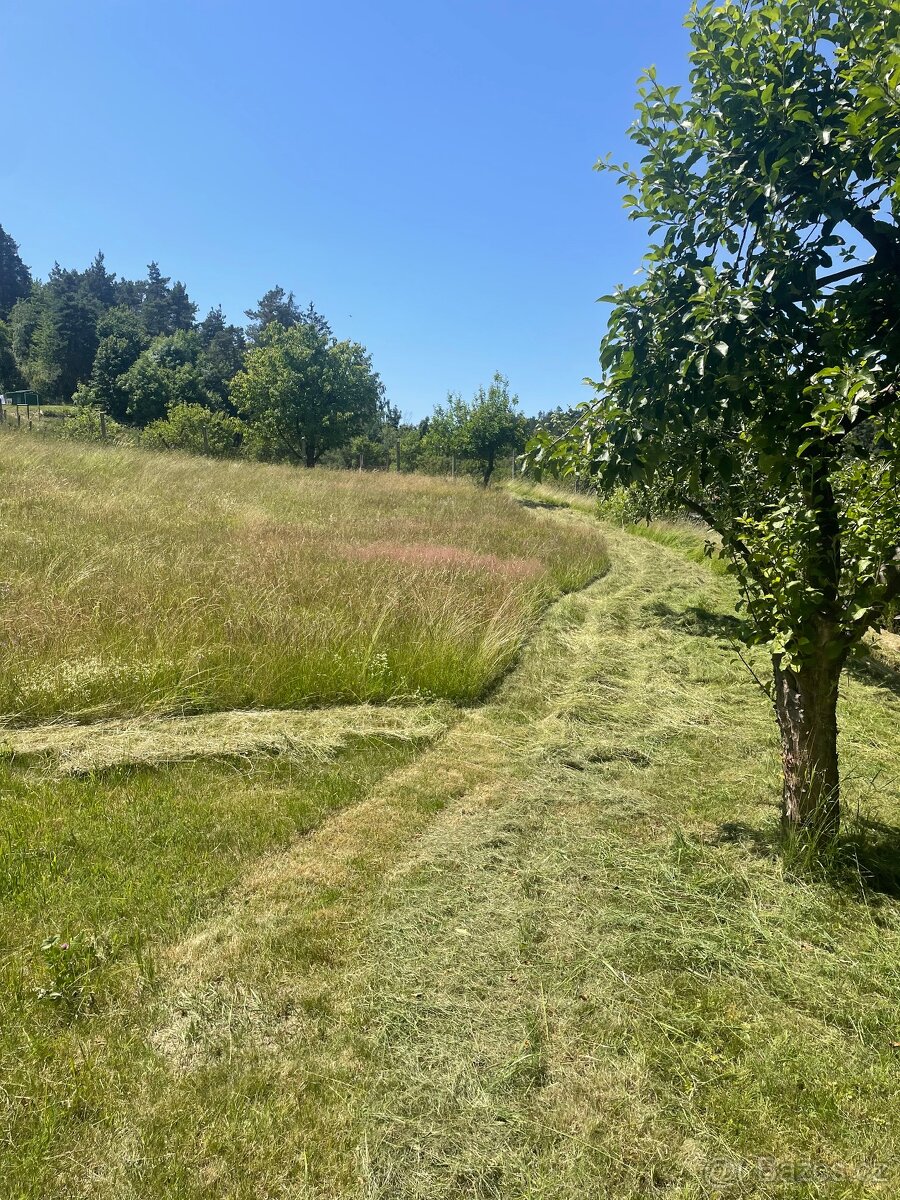 Zdarma seno