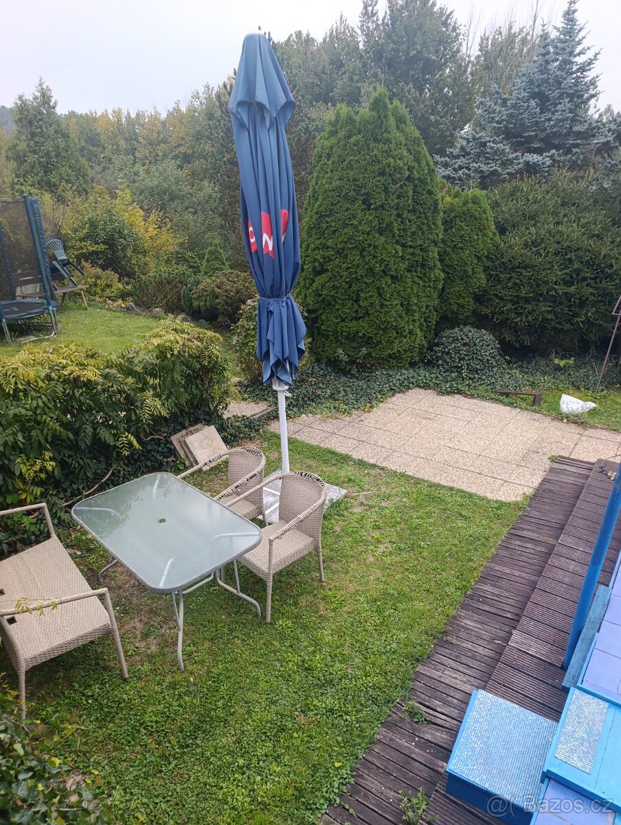 Velký slunečník