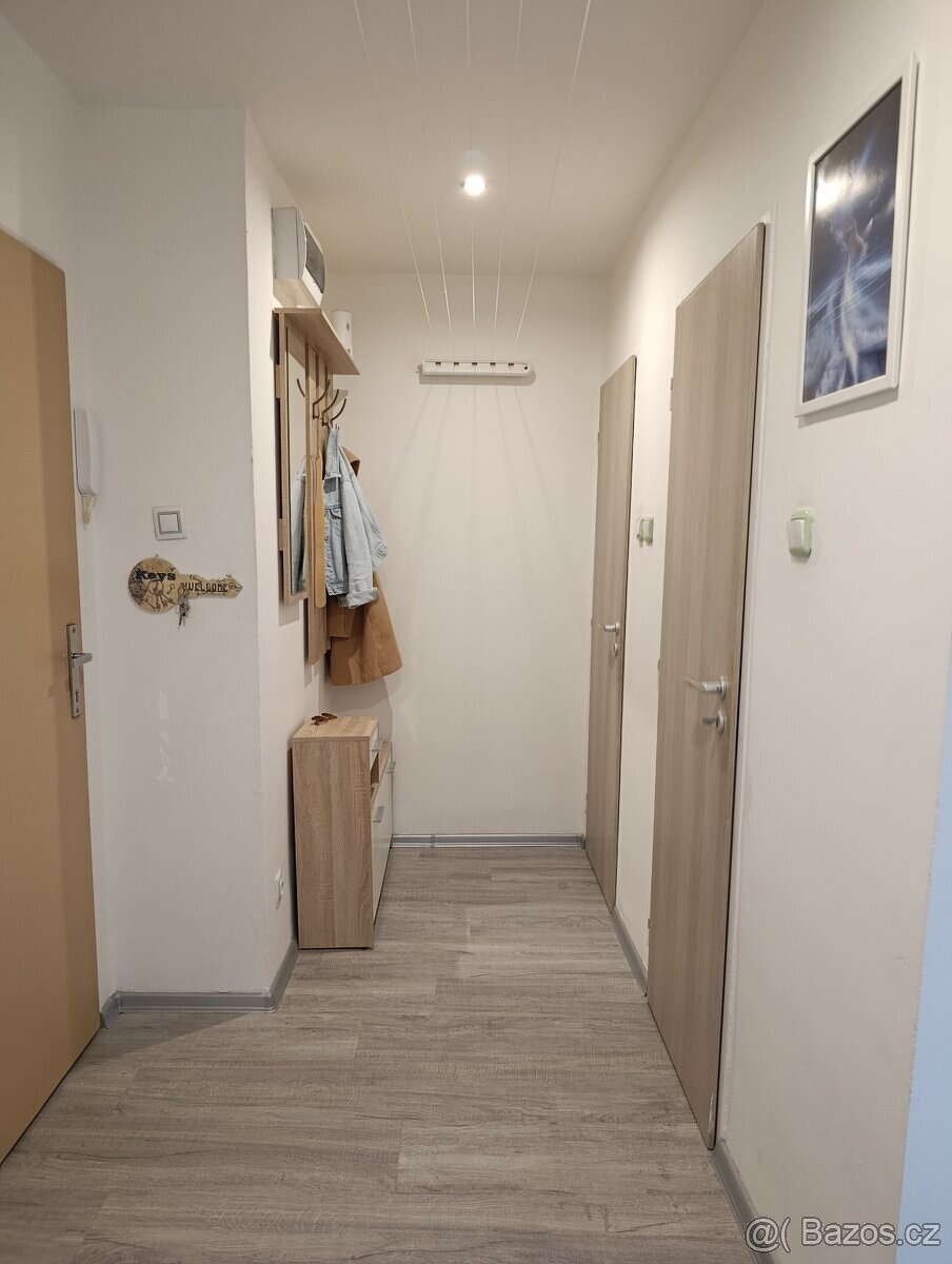 Být 1+1 Ostrava-Poruba 37 m², bez provize RK