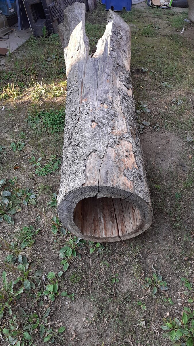 Kmen stromu