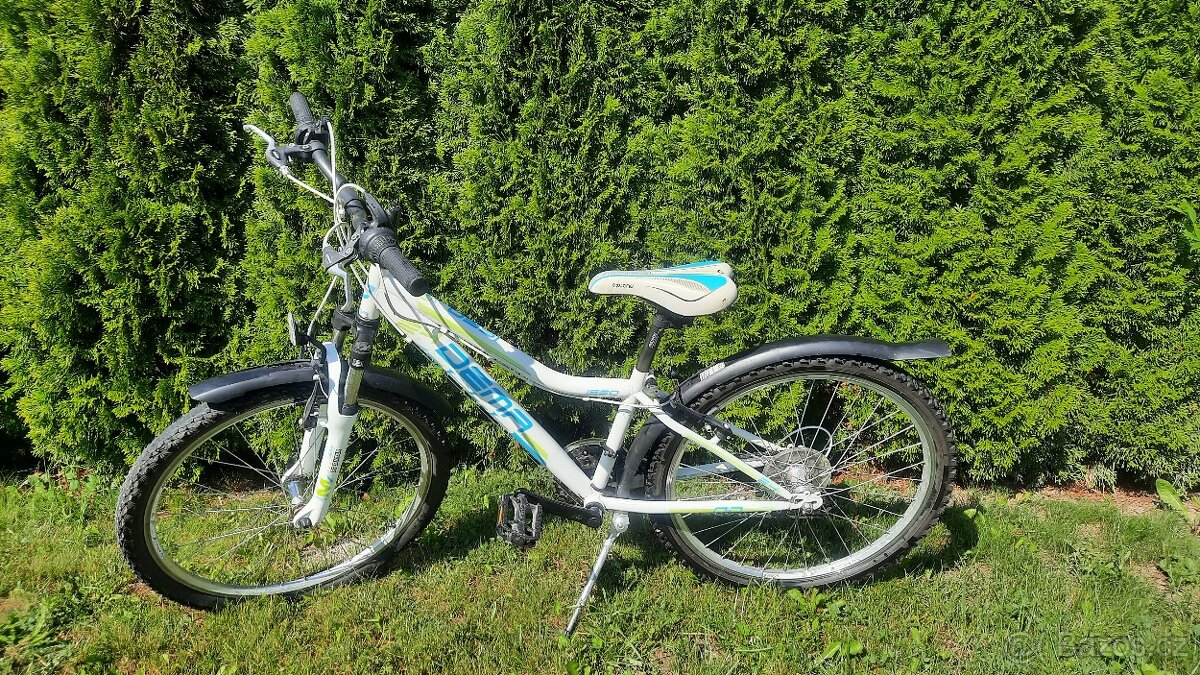 Kolo Dema vel.24