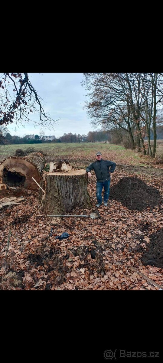 FRÉZOVÁNÍ - ODSTRAŇOVÁNÍ PAŘEZŮ