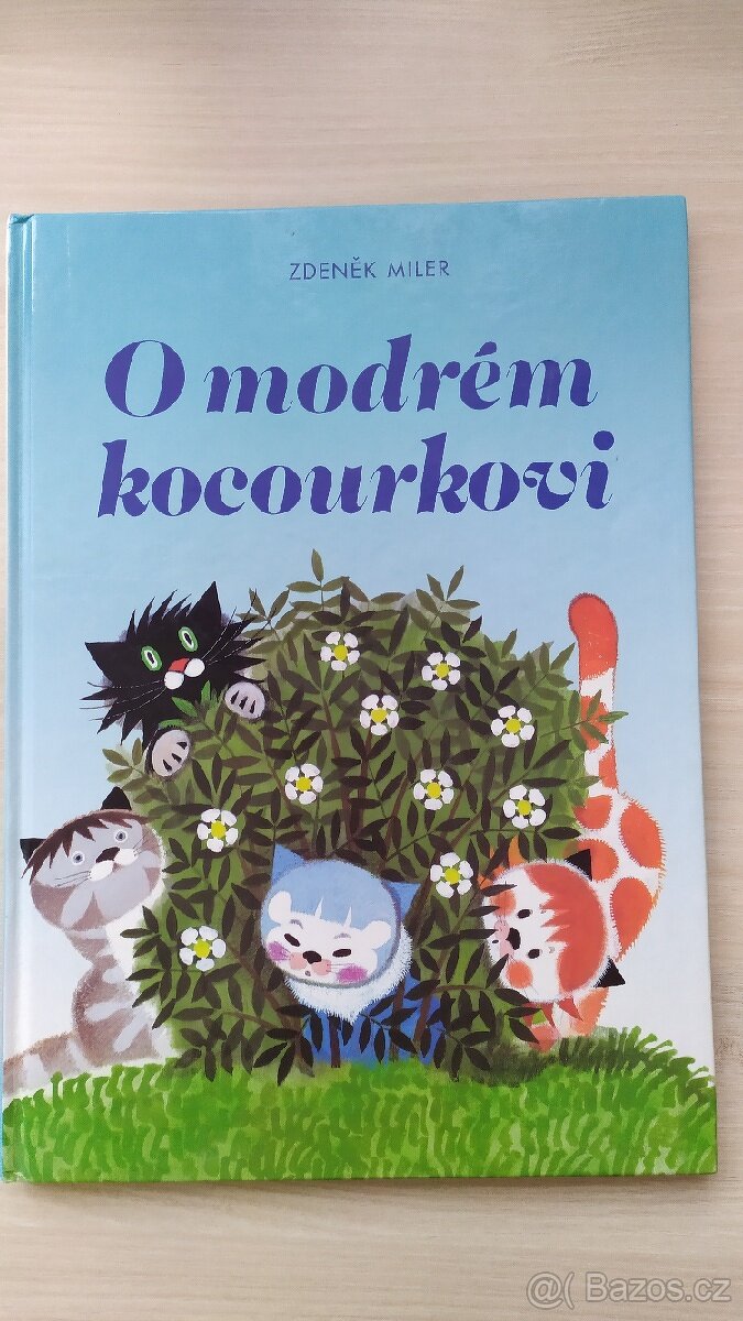 Kniha pro děti