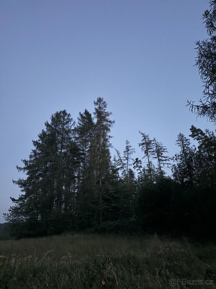 Prodám lesní pozemky v k.ú. Podměstí
