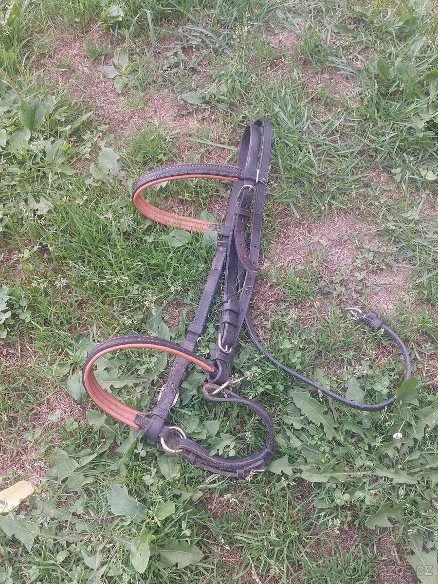 Bezudidlová uzdečka