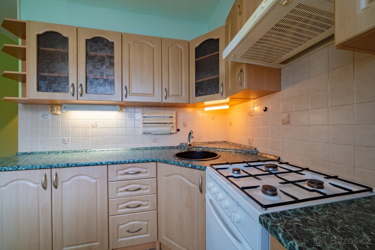 Prodej Byt 1+1 v Aši