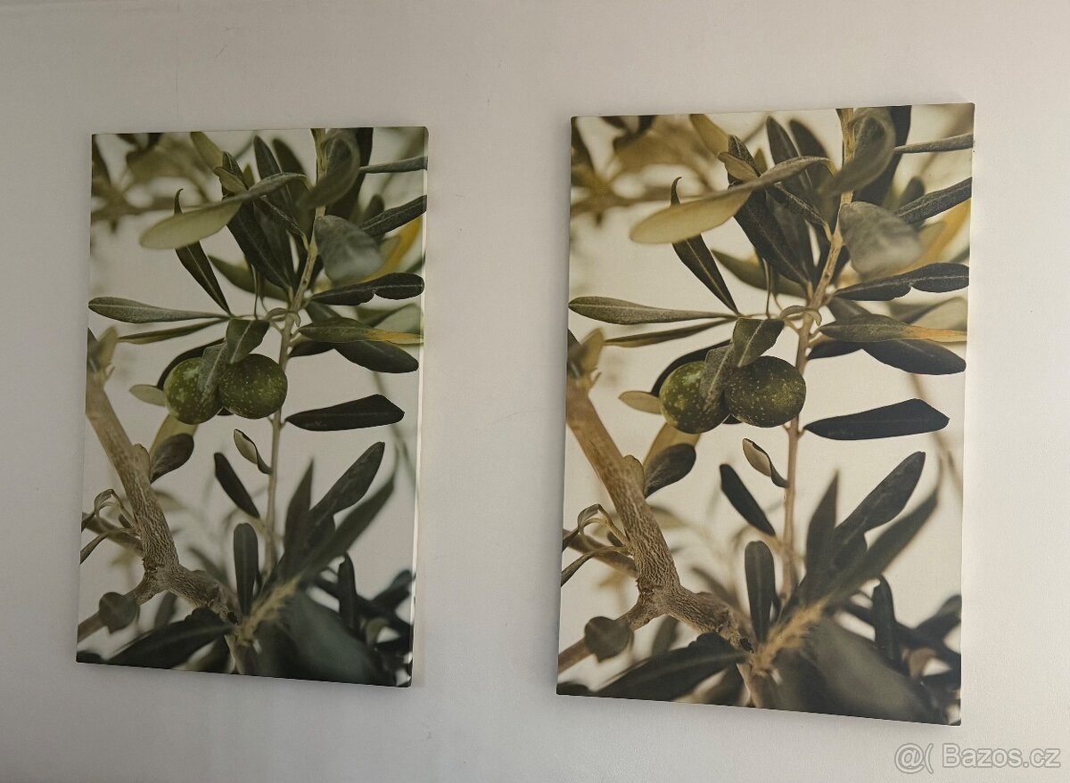Obrazy na stěnu IKEA 2 velké, 3 malé, motiv zeleň