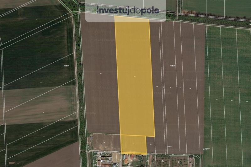 Prodej pole v k.ú. Hrušovany nad Jevišovkou