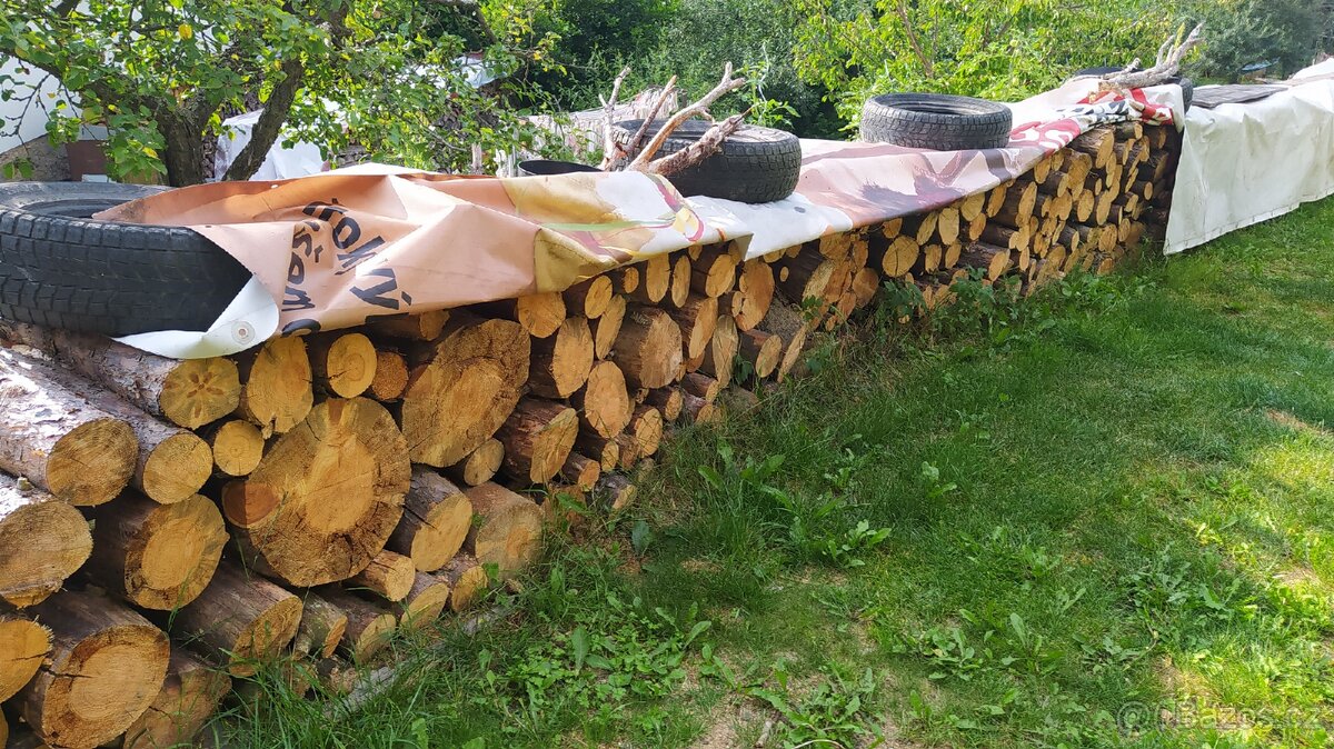 Vysušené palivové dřevo BOROVICE, JAVOR v metrech