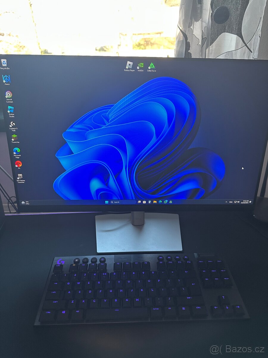 Monitor DELl