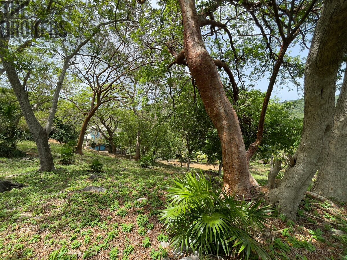 LOT 5 Bodden Bight Estate, Roatan