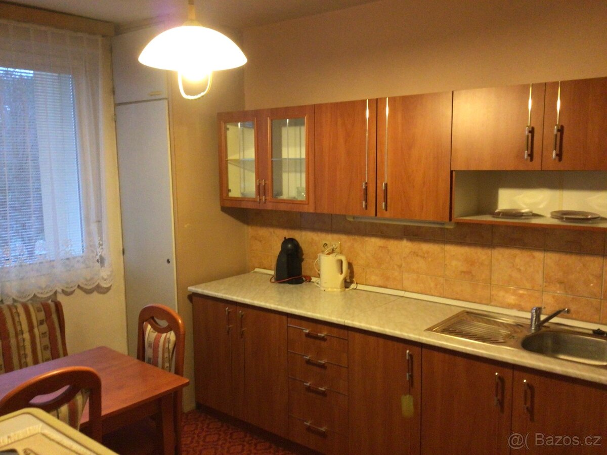Pronájem bytu 3+1 v Kobylí na Moravě