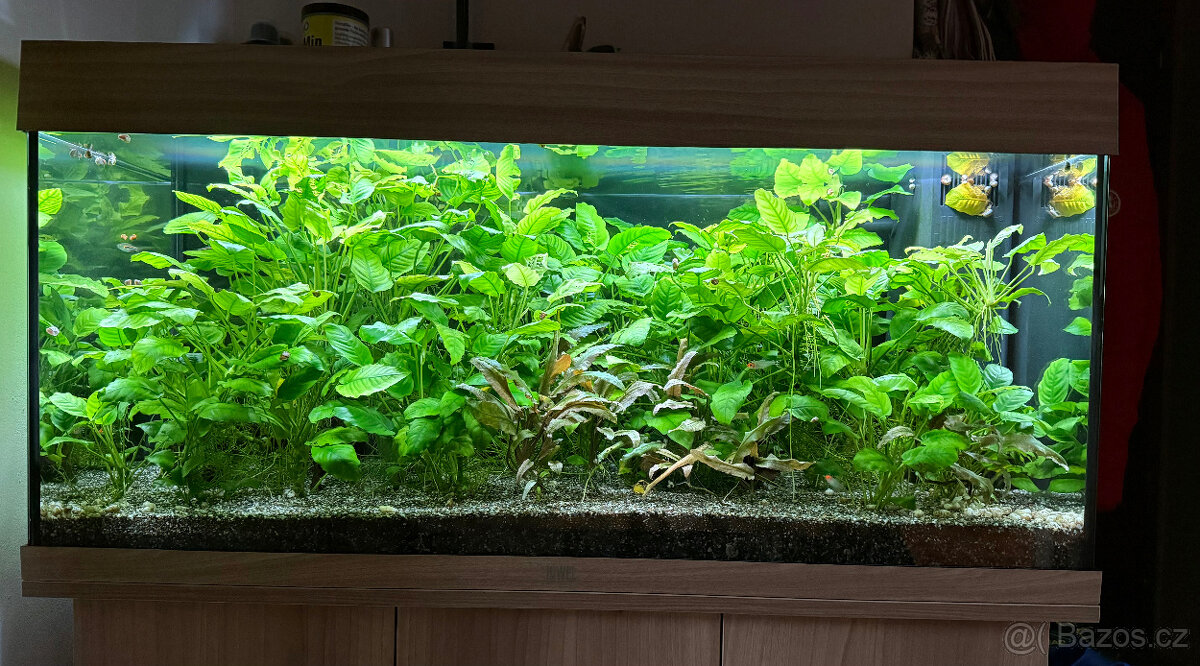 Akvárium Juwel Rio 180l, dub