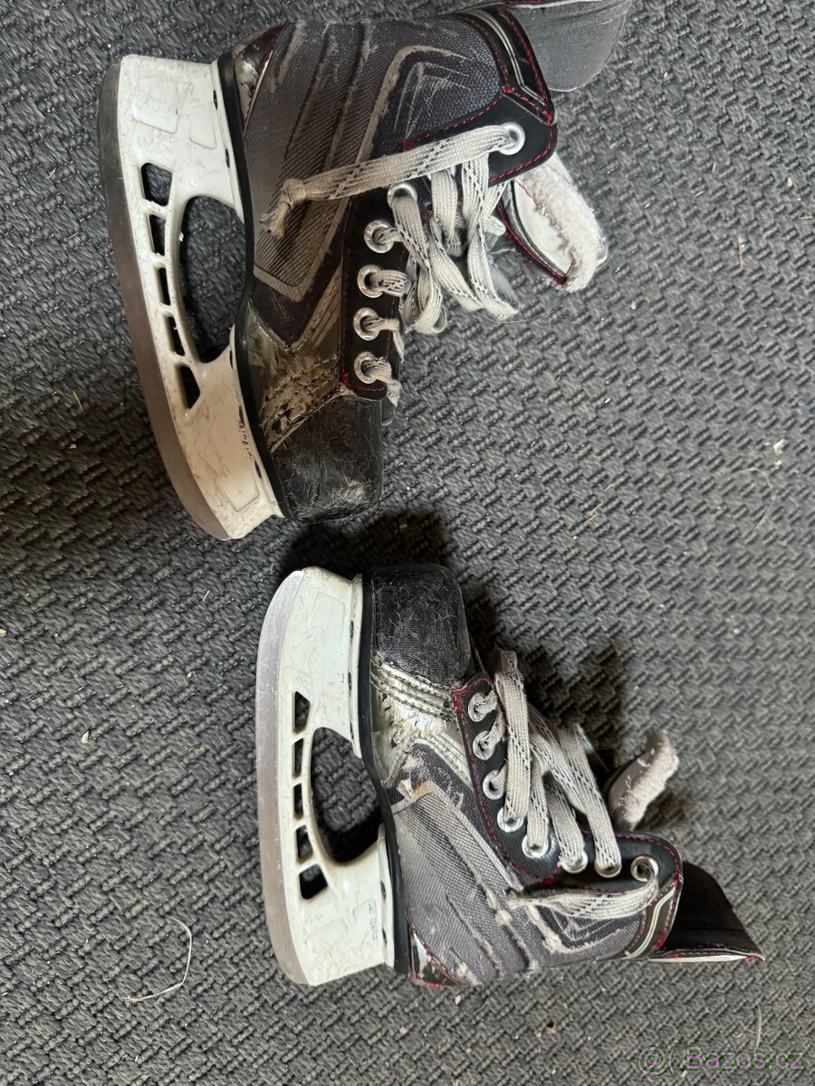 Brusle Bauer Vapor X 6.0 velikost 31
