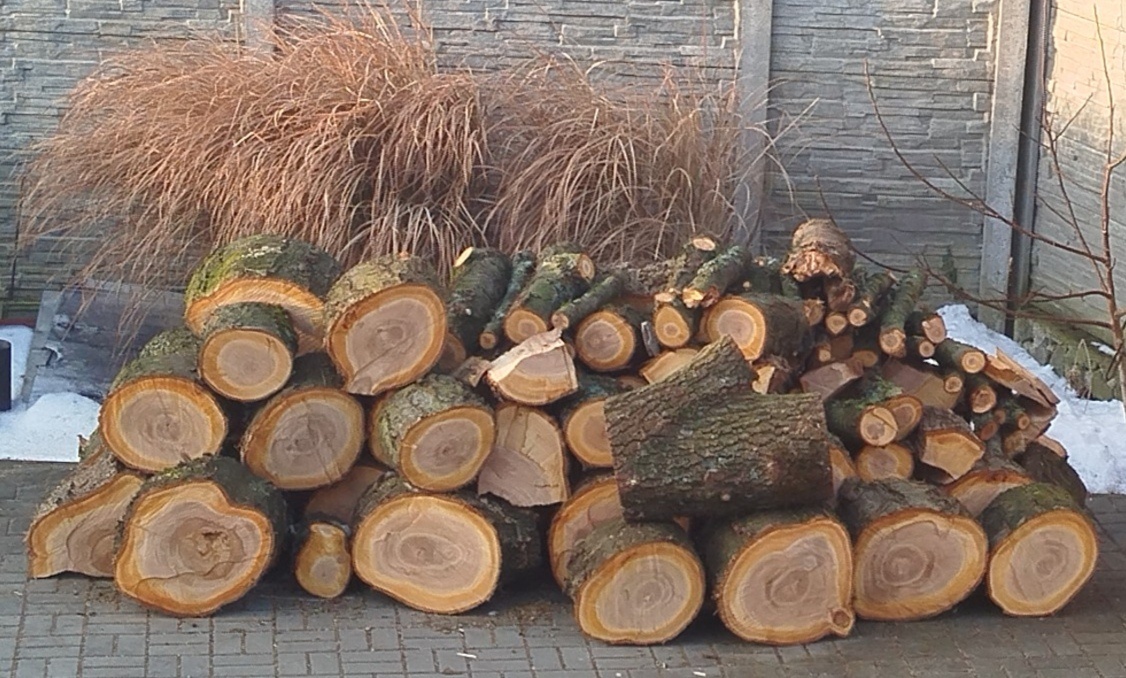 PALIVOVÉ DŘEVO (měkké, tvrdé), KULATINA