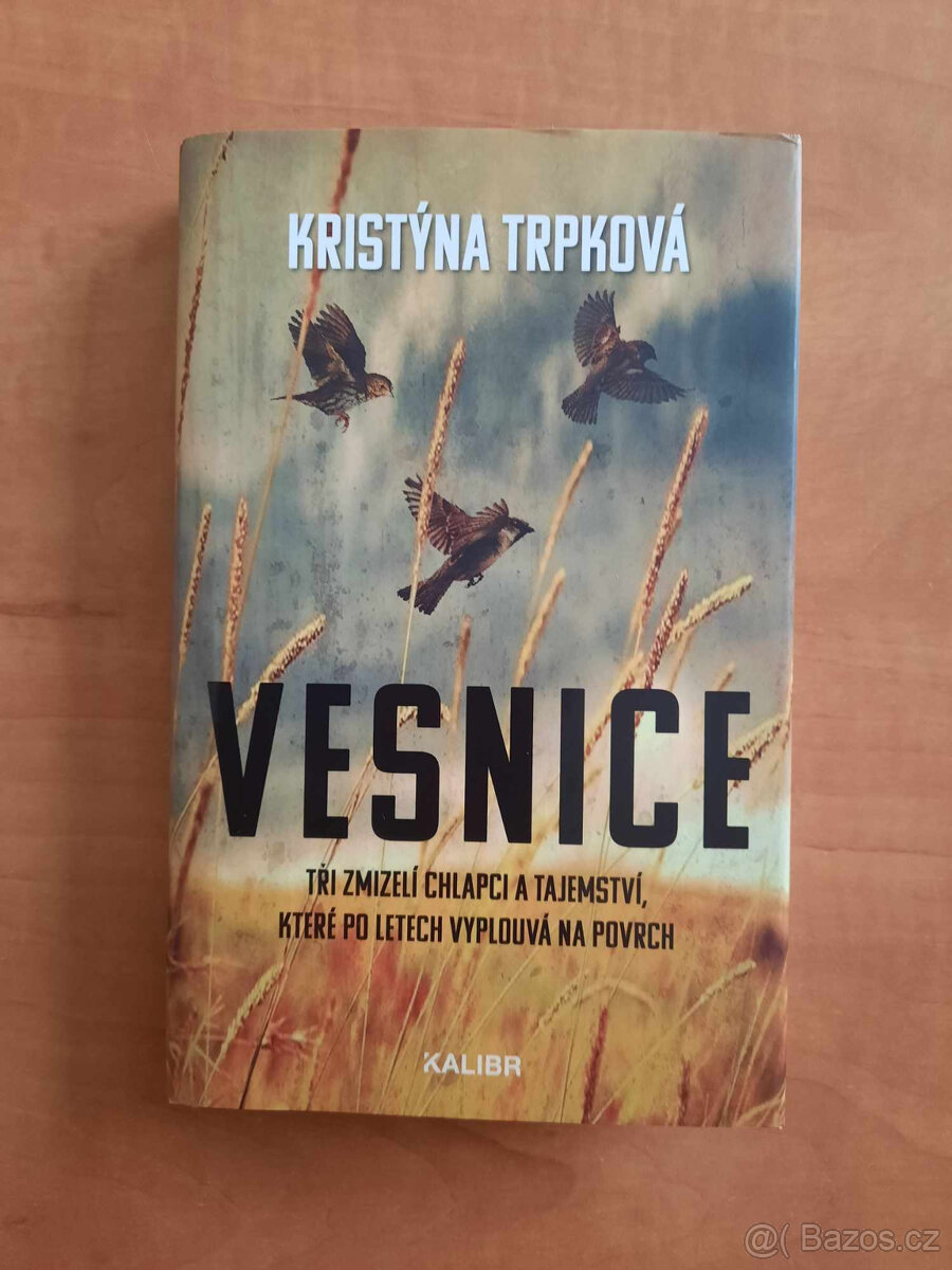 Kristýna Trpková - Vesnice