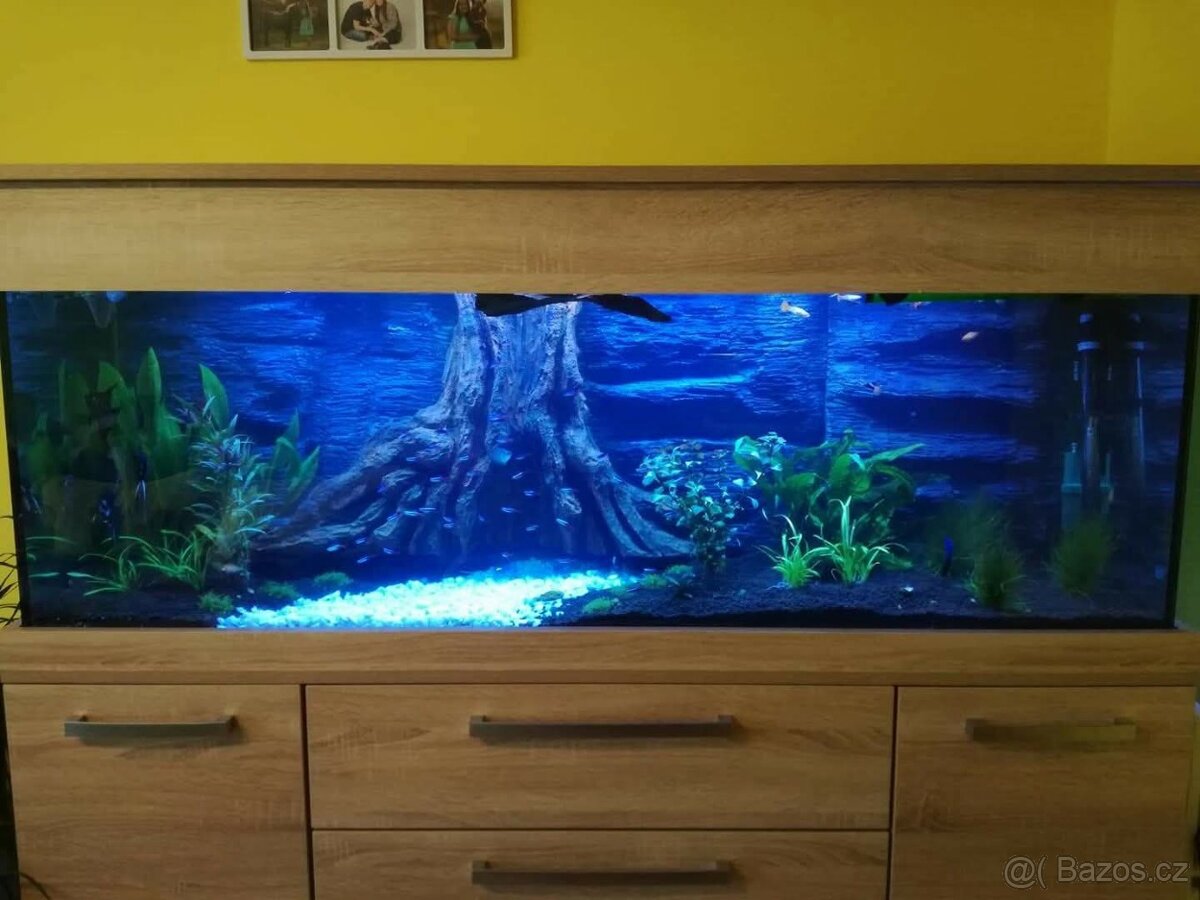 Akvárium 300 l
