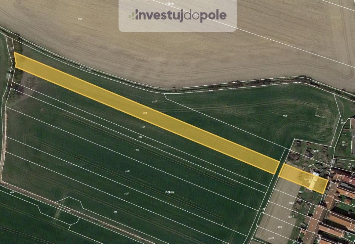 Prodej podílu 1/8 pole 589 m², Slepotice - Nové Holešovice