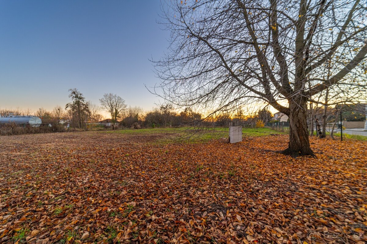 Pronájem komerčního pozemku