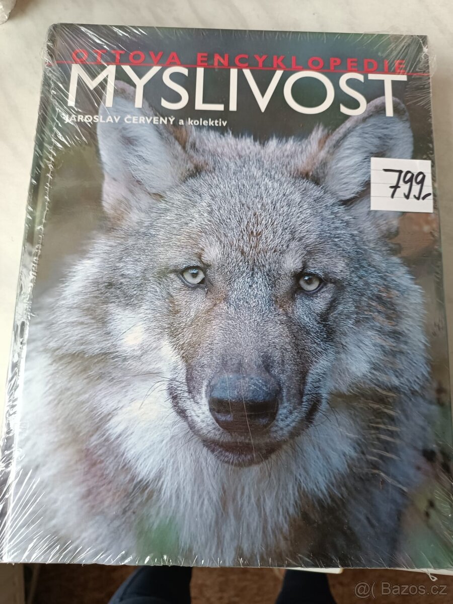 Myslivost
