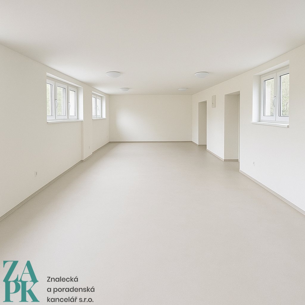 Pronájem komerčních prostor 57 m2, Střekov, Ústí nad Labem