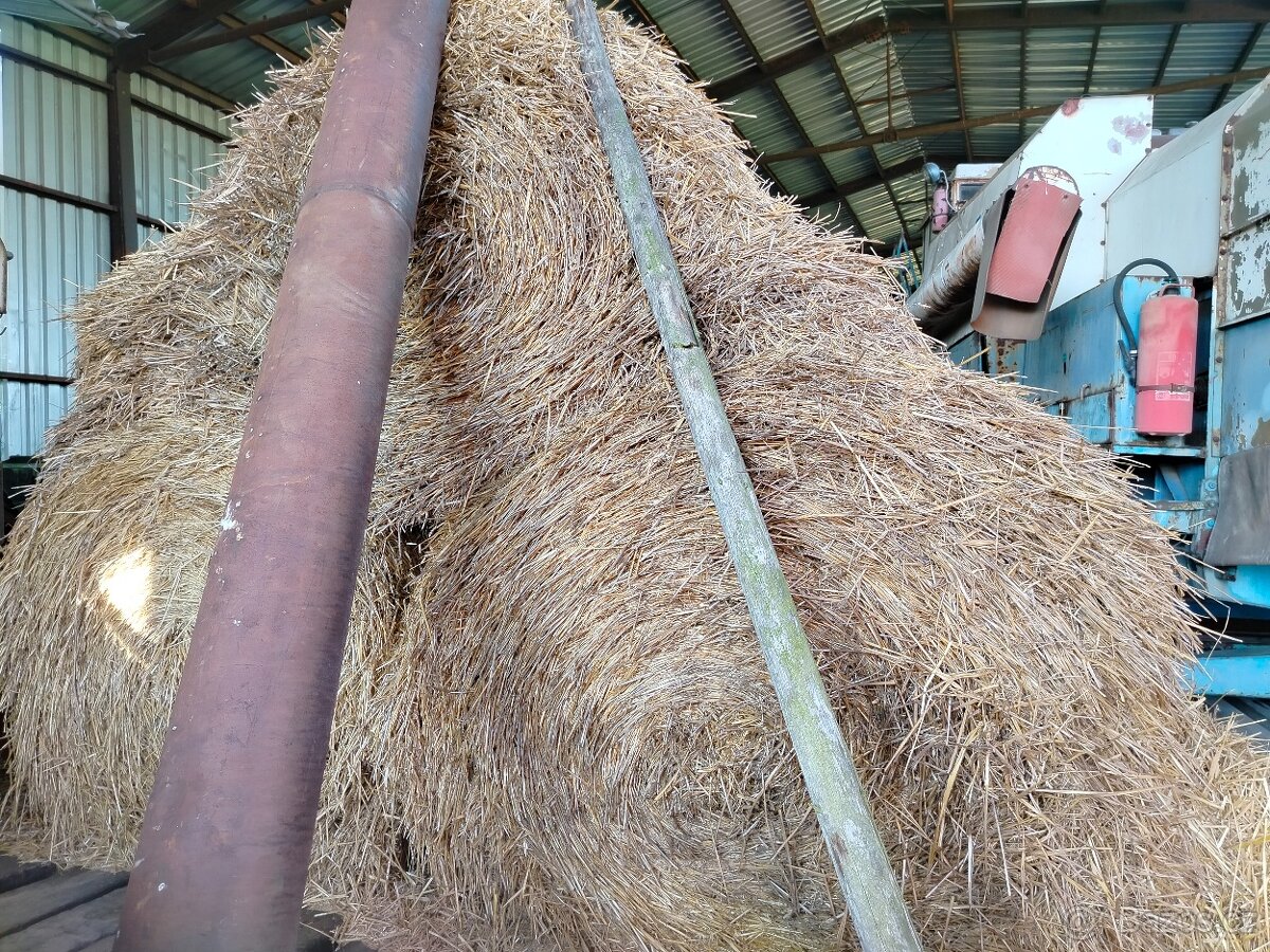 Sláma